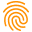 Finger Print